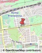 Via Prenestina, 291,00177Roma