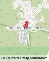 Otorinolaringoiatria - Medici Specialisti Rignano Garganico,71010Foggia