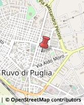 Borse - Dettaglio Ruvo di Puglia,70037Bari