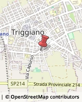 Corrieri Triggiano,70019Bari