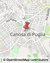 Internet - Servizi Canosa di Puglia,70053Barletta-Andria-Trani