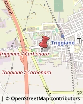 Parrucchieri Triggiano,70019Bari