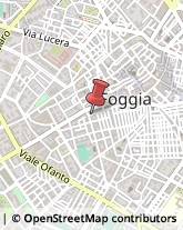 Campeggi, Villaggi Turistici e Ostelli Foggia,71121Foggia