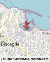 Pesce - Lavorazione e Commercio Bisceglie,76011Barletta-Andria-Trani