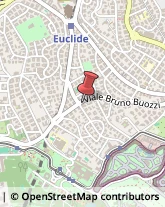 Viale Bruno Buozzi, 99,00197Roma