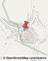 Commercialisti Carpino,71010Foggia