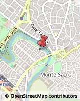 Consulenze Speciali Roma,00141Roma