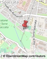 Agenzie di Vigilanza e Sorveglianza,00169Roma