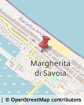 Pratiche Automobilistiche Margherita di Savoia,76016Barletta-Andria-Trani