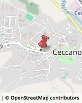 Mangimi e Foraggi Ceccano,03023Frosinone