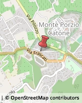 Veterinaria - Ambulatori e Laboratori Monte Porzio Catone,00040Roma
