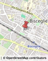 Macellerie Equine Bisceglie,76011Barletta-Andria-Trani