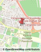 Uffici Temporanei Cerignola,71042Foggia