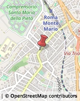 Via di Torrevecchia, 112/A-114,00168Roma