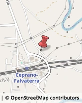 Autotrasporti Ceprano,03024Frosinone