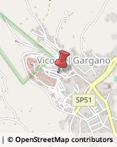 Fotografia - Studi e Laboratori Vico del Gargano,71018Foggia