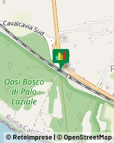 Riserve Naturali e Parchi,00055Roma