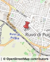 Consulenza Industriale Ruvo di Puglia,70037Bari