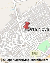 Parrucchieri Orta Nova,71045Foggia