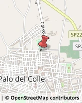Geometri Palo del Colle,70027Bari