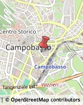 Consulenza Informatica,86100Campobasso