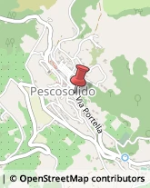 Protezione Civile - Servizi,03030Frosinone