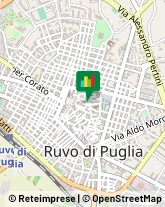 Commercialisti Ruvo di Puglia,70037Bari