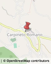 Internet - Servizi Carpineto Romano,00032Roma