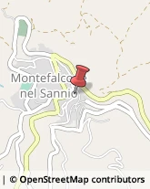 Piante e Fiori - Dettaglio Montefalcone nel Sannio,86033Campobasso