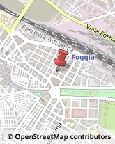 Ristoranti Foggia,71121Foggia