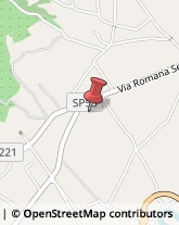 Articoli per Ortopedia,03039Frosinone