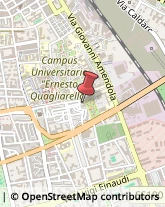 Collegi,70125Bari