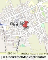 Imbiancature e Verniciature Triggiano,70019Bari