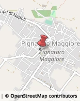 Macellerie Pignataro Maggiore,81052Caserta