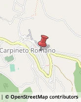 Pescherie Carpineto Romano,00032Roma
