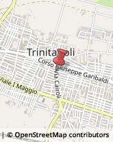 Piante e Fiori - Dettaglio Trinitapoli,71049Barletta-Andria-Trani