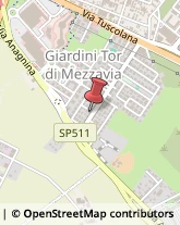 Medicina Interna - Medici Specialisti Roma,00118Roma