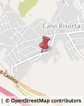 Elettrauto Calvi Risorta,81042Caserta