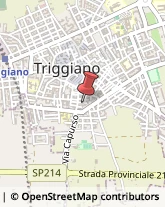 Imprese Edili Triggiano,70019Bari