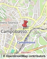 Pelli per Pellicceria Campobasso,86100Campobasso