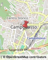 Articoli Sportivi - Dettaglio Campobasso,86100Campobasso