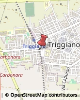 Imprese Edili Triggiano,70010Bari