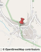 Comuni e Servizi Comunali Carpino,71010Foggia