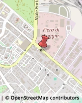 Arredamento - Vendita al Dettaglio Foggia,71100Foggia