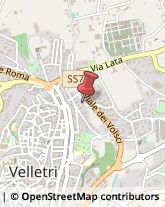 Articoli per Ortopedia Velletri,00049Roma