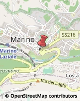 Amministrazioni Immobiliari Marino,00047Roma