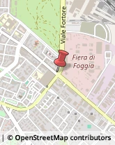 Ristoranti,71121Foggia