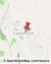 Autotrasporti Castelforte,04021Latina