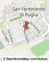 Cartolerie San Ferdinando di Puglia,71046Barletta-Andria-Trani