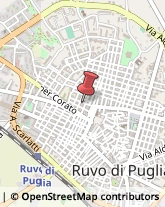 Carta per Alimenti Ruvo di Puglia,70037Bari